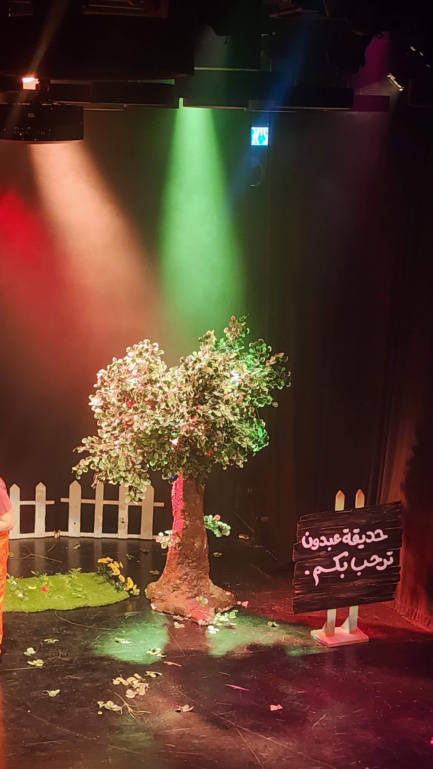 صورة 29 من معرض تياترو